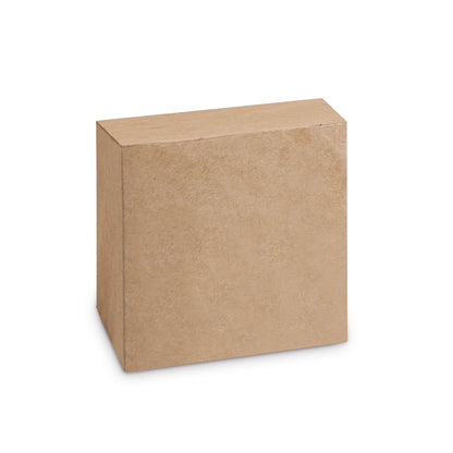 COBAIN - Auricolari Wireless con 5 Ore di Autonomia in - Cod. 97193